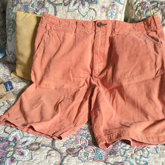 American Eagle Outfitters Other - Men's American Eagle Outfitters Orange Flat Front Shorts